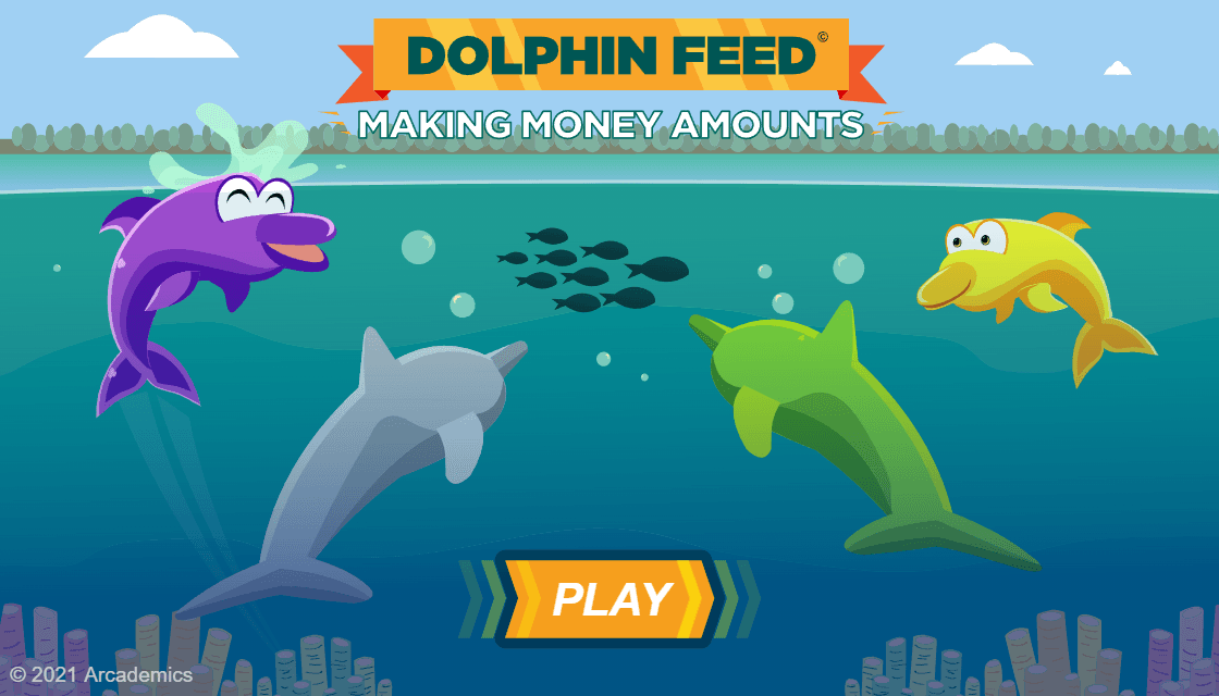 Dolphin Feed