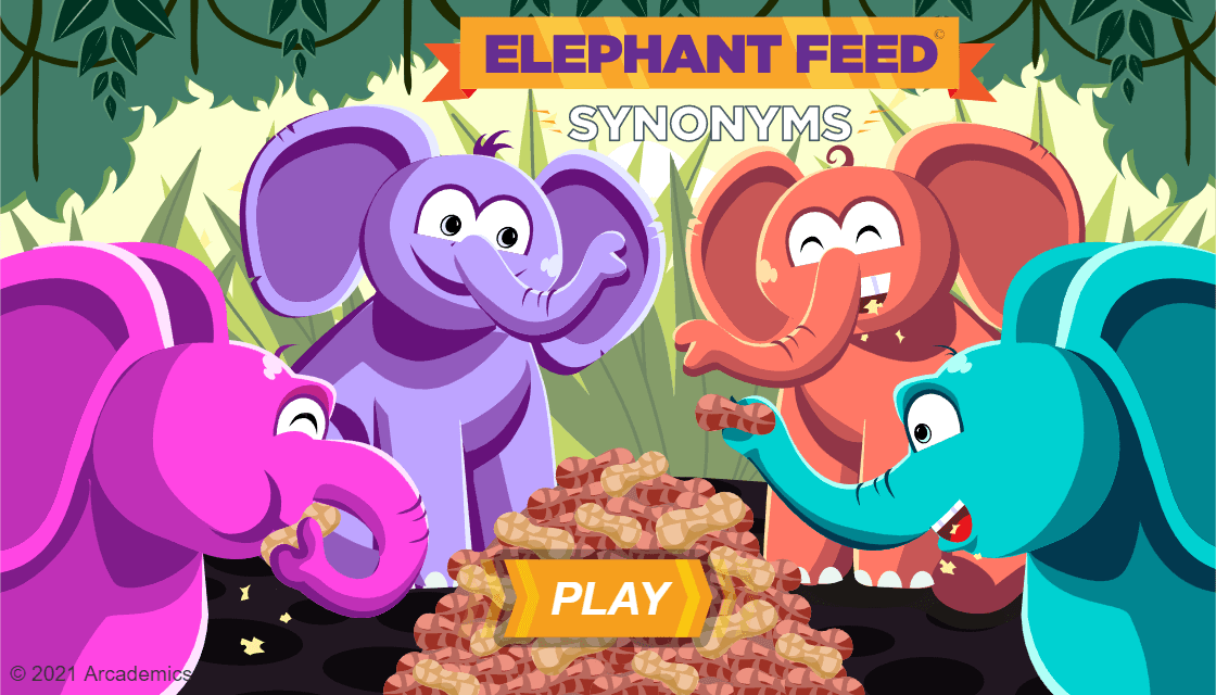 Elephant Feed
