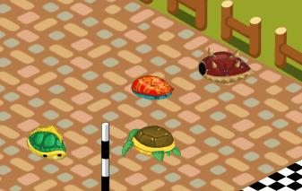 Tortuga Racing