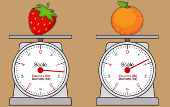 Weighing Fruits